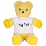 Play School Big Ted Plush 40cm