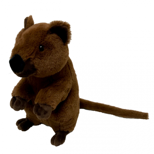 quokka soft toy