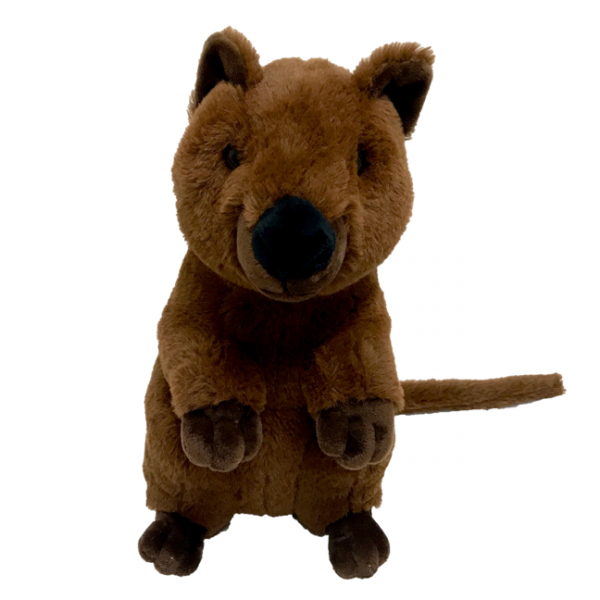 quokka stuffed toy